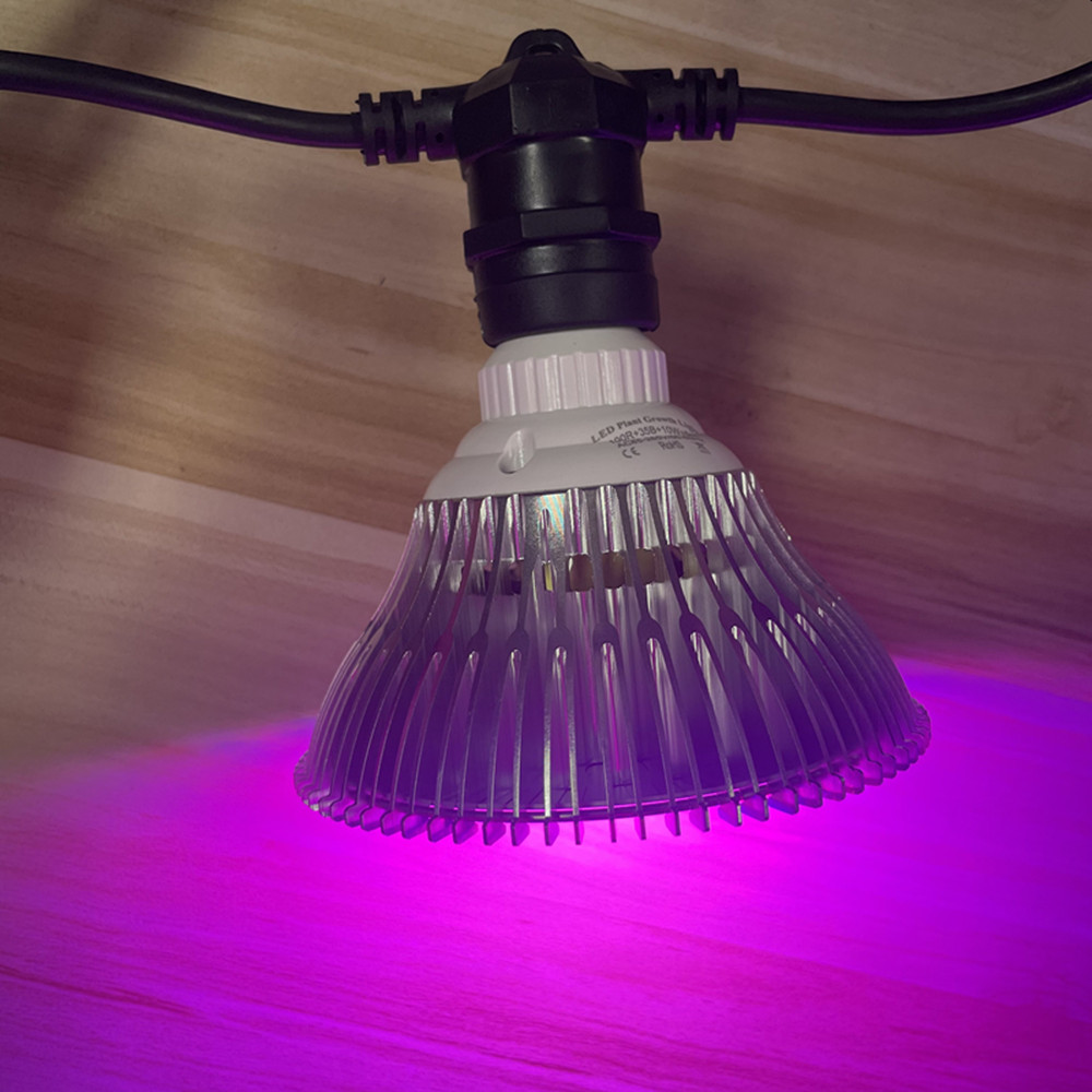 10M Cable LED String Commercia - Bollard Light Garden review and price