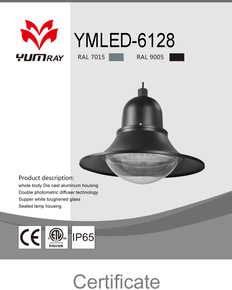 Made in China IP65 High Qualit - Quality Outdoor Lighting Fixtures review and price